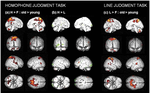 The role of regional heterogeneity in age-related differences in functional hemispheric asymmetry: an fMRI study