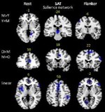 A comprehensive analysis of connectivity and aging over the adult life span