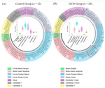 Individual-fMRI-approaches reveal cerebellum and visual communities to be functionally connected in obsessive compulsive disorder