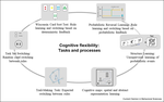 Cognitive flexibility training for impact in real-world settings