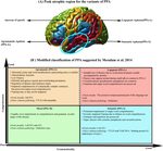 Identifying target regions for non-invasive brain stimulation of the language network in primary progressive aphasia: A narrative review