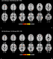 A Meta-Analysis of Functional Magnetic Resonance Imaging Studies on In-Group and Out-Group Categorization